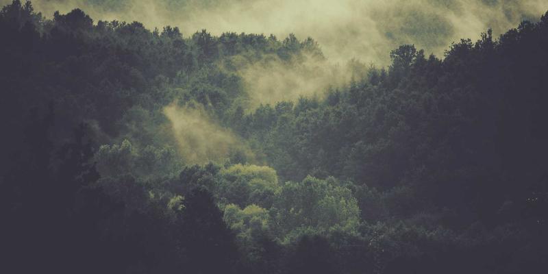 B站UP主成长指南